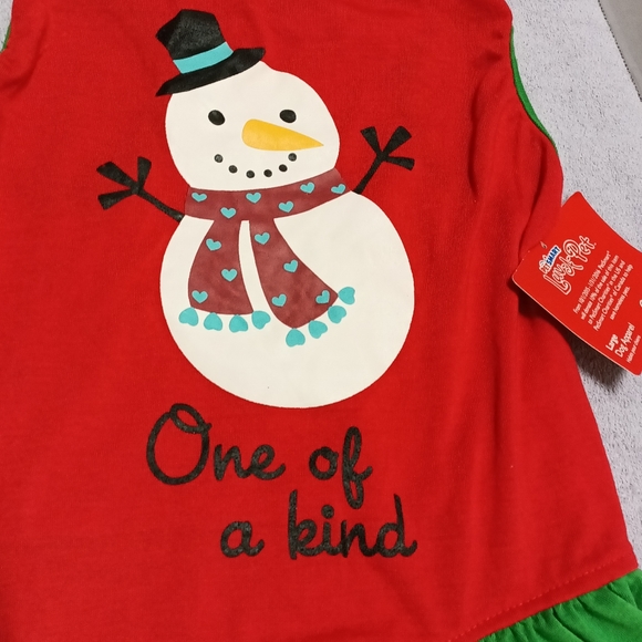 PetSmart dog apparel snowman holiday dress red and green new with tag - Picture 2 of 4